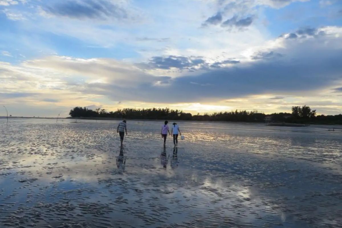 Bãi biển Cần Giờ - TP.HCM